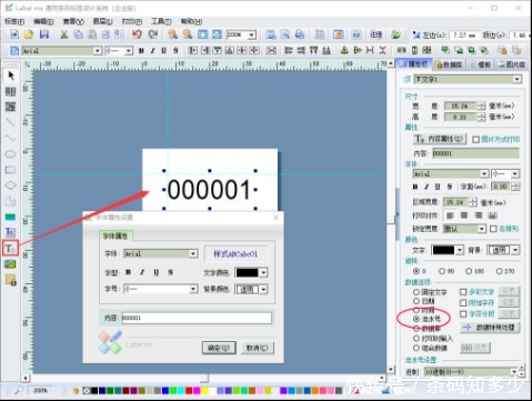 可变数据打印软件之UDI码相关介绍docx(图1)