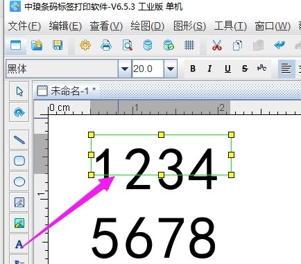 可变数据软件如何批量循环打印太阳码(4页)docx(图1)